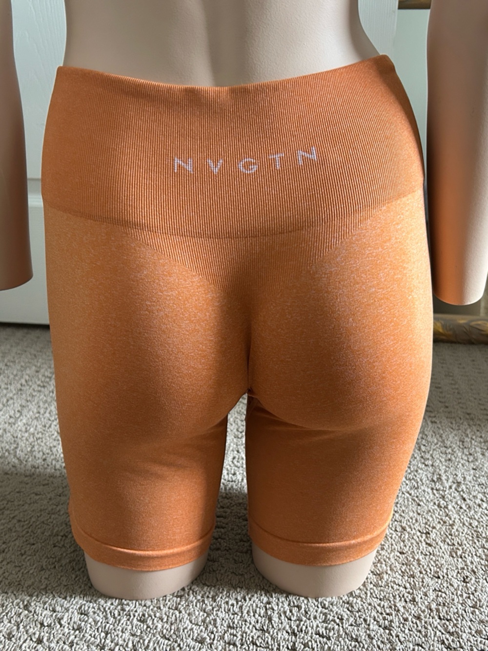 NVGTN Gym Shorts